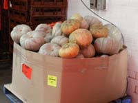 FareShare Event 031011 049