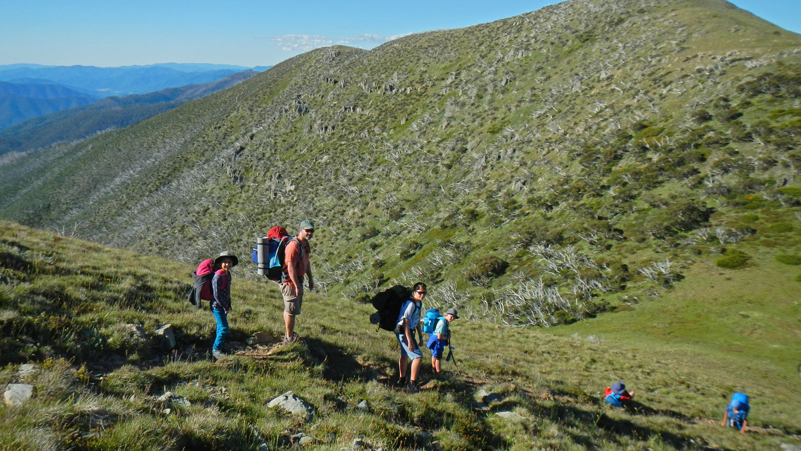 razorback-feathertop_07