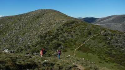 razorback-feathertop_06