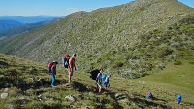 razorback-feathertop_07