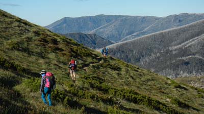 razorback-feathertop_09