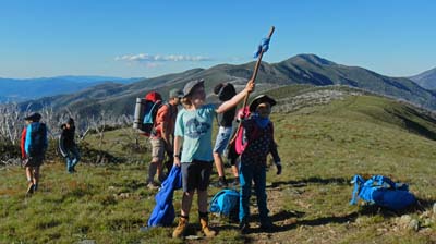 razorback-feathertop_12