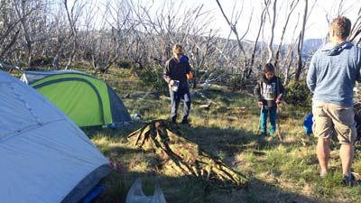 razorback-feathertop_16