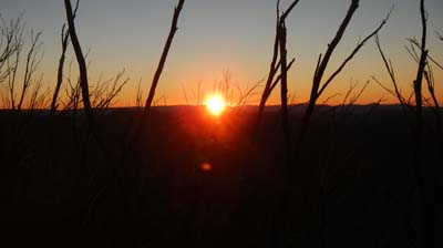 razorback-feathertop_18