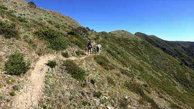 razorback-feathertop_20