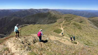 razorback-feathertop_28