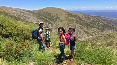 razorback-feathertop_29